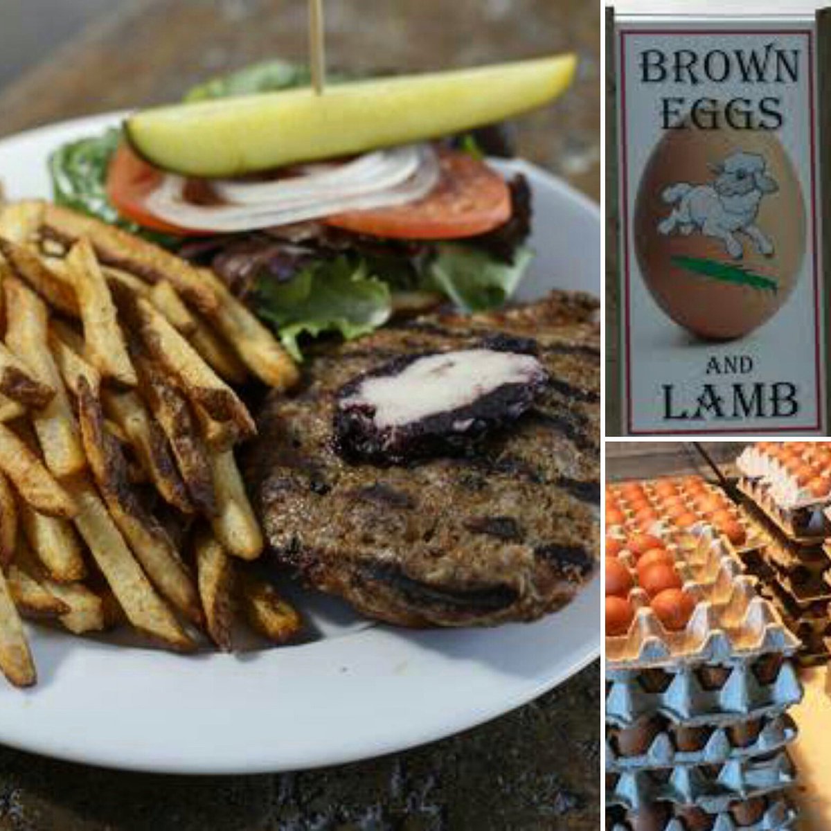 cilantro_chive's tweet photo. Couldn't be where we are today without having such amazing local suppliers like Brown Eggs and Lamb Farm! Our Lamb Burger is named in their honour!
#EatLocal #FreshSimpleEats #agritrade #agritrade2017 https://t.co/7CMeSa97EH