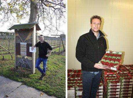 Berrybrothers breidt bessenassortiment uit
agf.nl/artikel/165401…