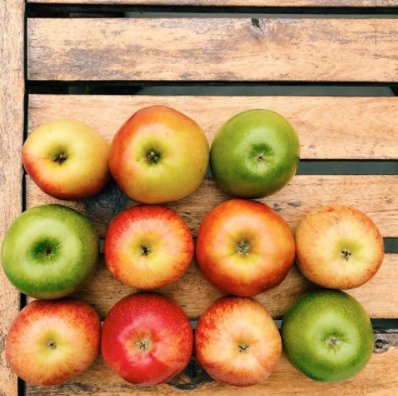 An apple a day keeps the snow away? It can't hurt to try! 🍎
#AppleFactoryON #foodlandontario