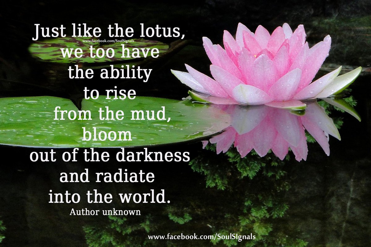 Soul_Signals tweet picture