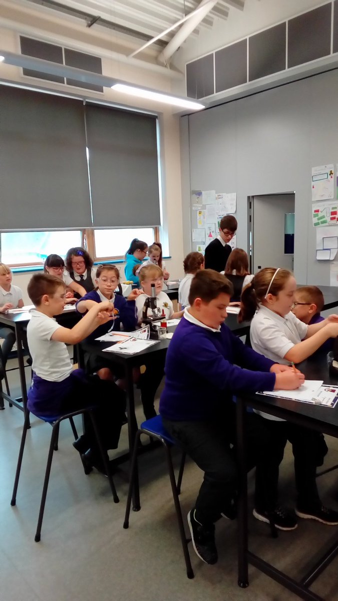 SciMaes's tweet photo. #pracskillsmaes year 5 https://t.co/gCy0QBALta