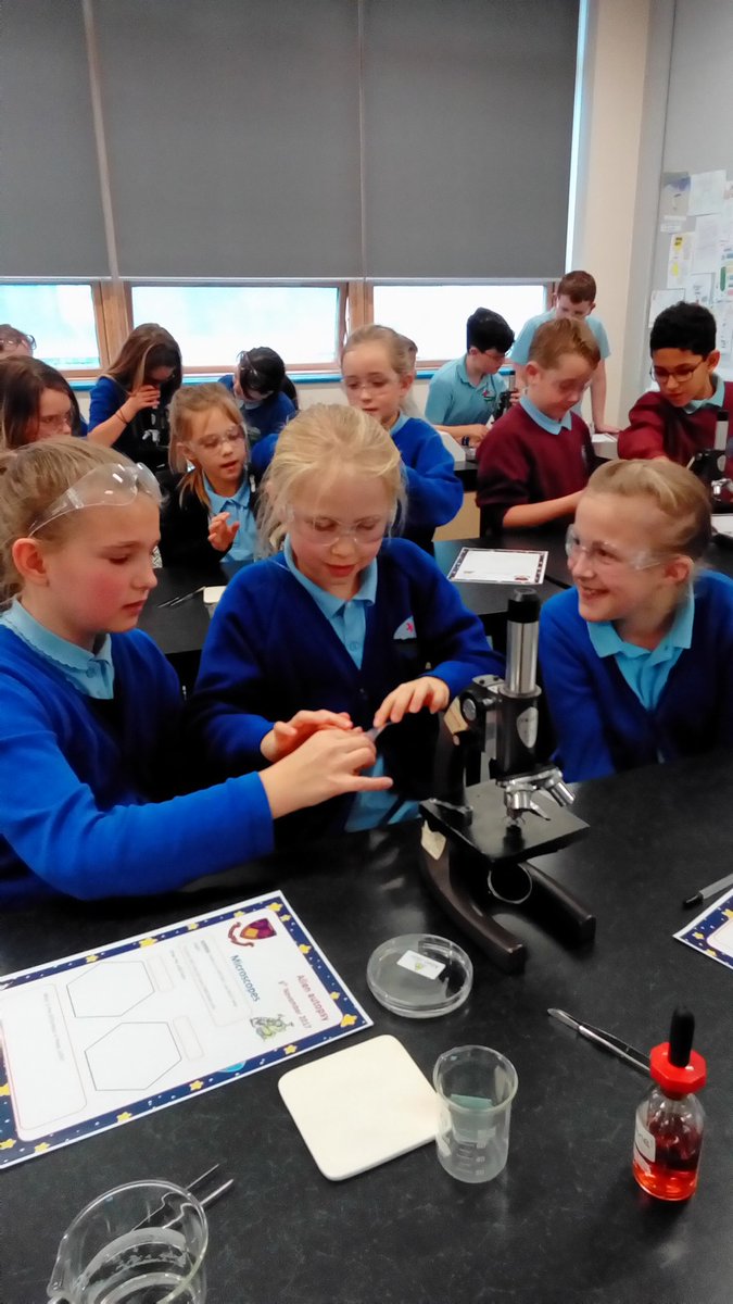 SciMaes's tweet photo. #pracskillsmaes year 5 https://t.co/gCy0QBALta