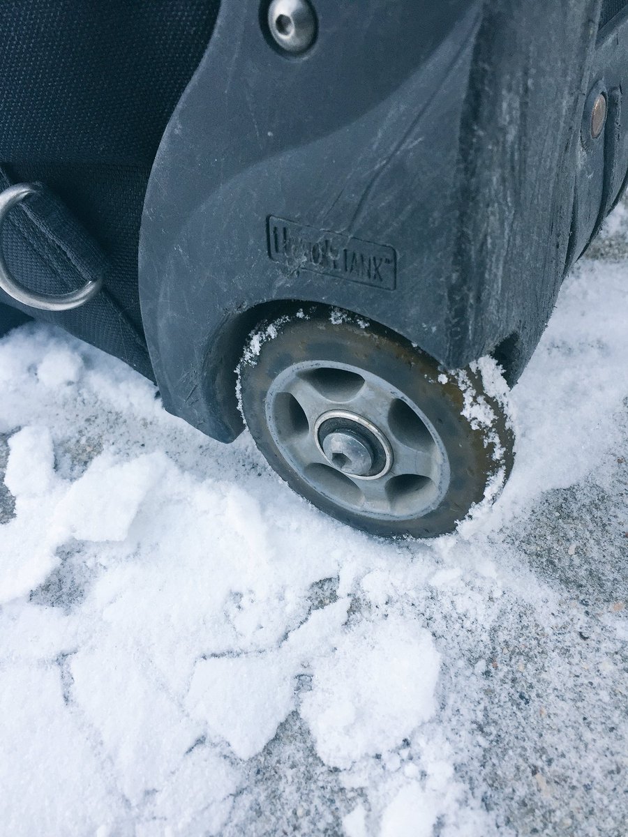 David Stobbe tweet media