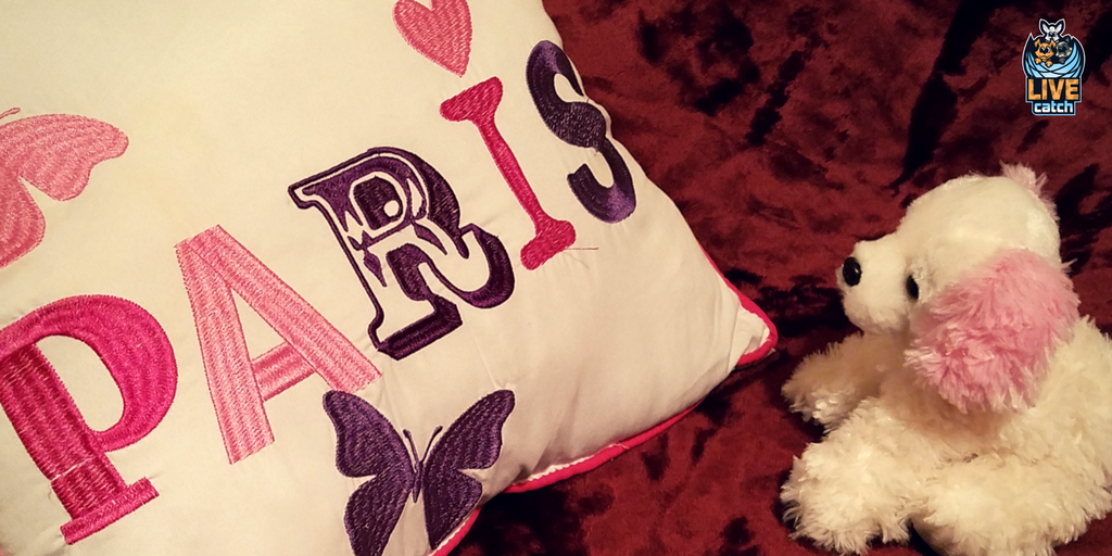 LIVEcatchGAME's tweet photo. "A girl can dream, can't she?"         https://t.co/g3ncpGBbgH - Game launch in Spring 2018 #puppylife #kids #toys #ARtoys #augmentedreality https://t.co/6fsoXTuND8