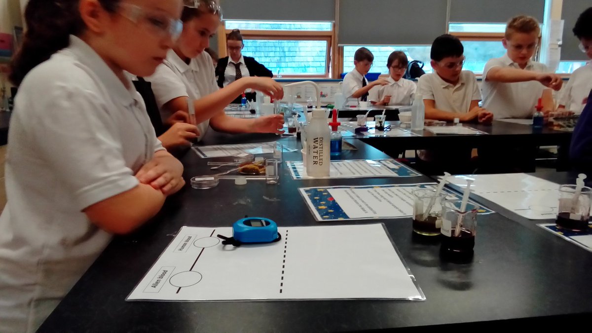 SciMaes's tweet photo. #pracskillsmaes year 5 https://t.co/TFjDtV0omI