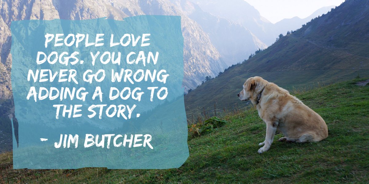 DogAdvisory's tweet photo. People love dogs. You can never go wrong adding a dog to the story.

#doglover https://t.co/W3mTdhgC2G