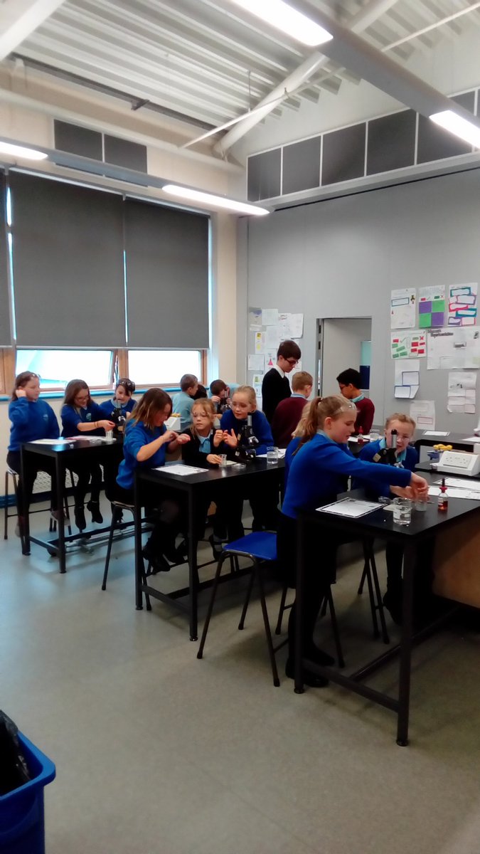 SciMaes's tweet photo. #pracskillsmaes 
Year 5 https://t.co/swAw4txaqq