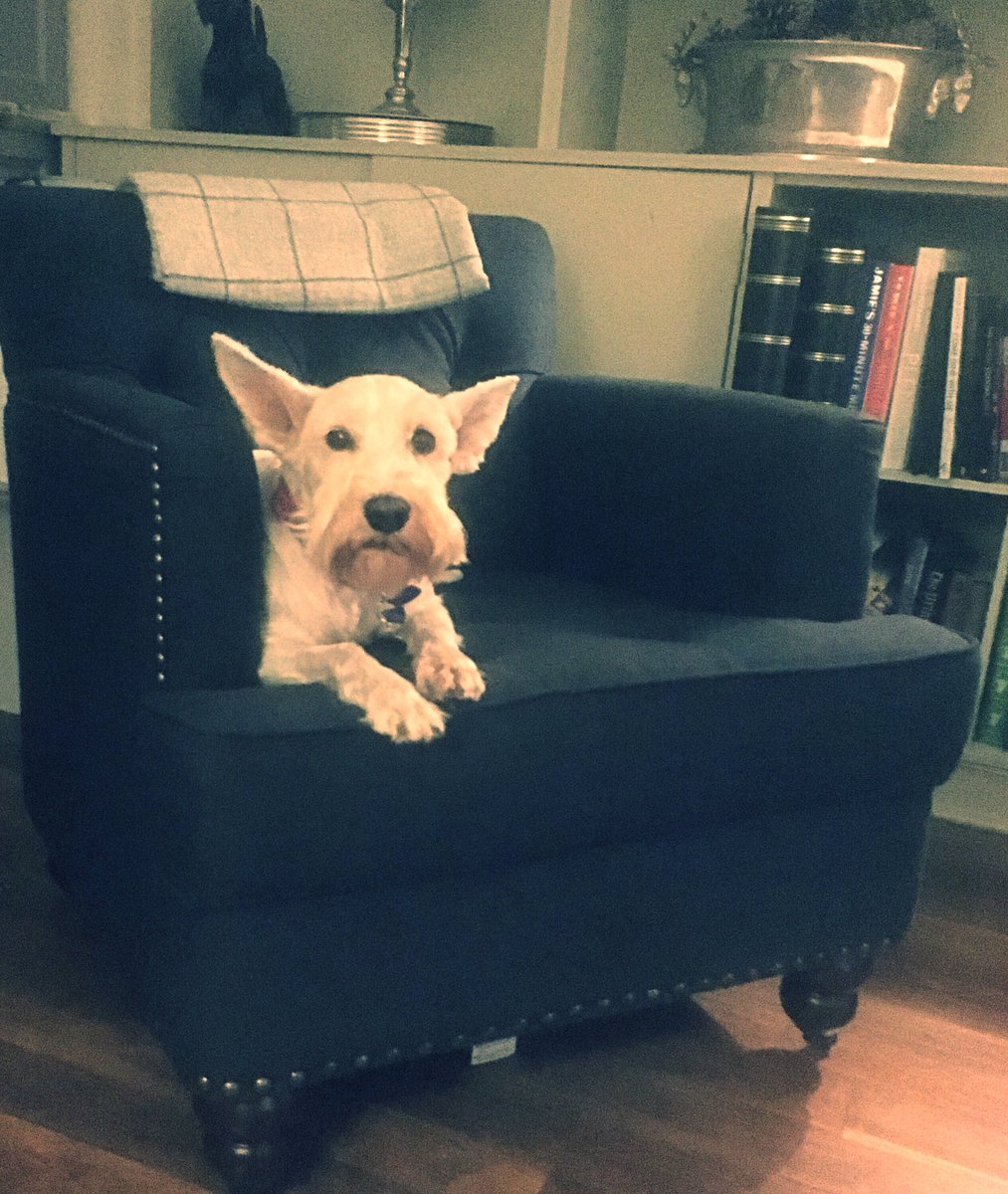 Peter (Therapist) tweet media