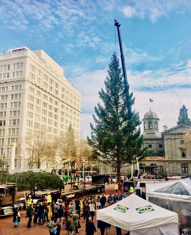 inDowntownPDX's tweet photo. It's that time! The holiday tree arrives at @thesquarepdx today. Who's ready for twinkly lights? 🎄✨ #downtownPDX #PDX https://t.co/ABK90EdkXz