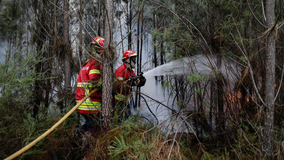 cnnportugal's tweet photo. Notícia TVI: Proteção Civil avisou para perigo de incêndios em outubro
https://t.co/mZuiRgpFtZ https://t.co/1OLLL6feL2