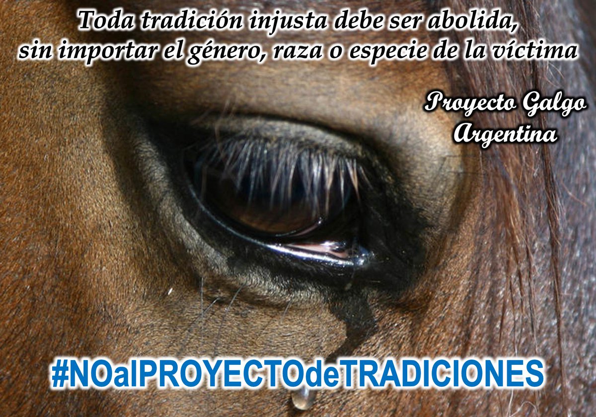 #NOalPROYECTOdeTRADICIONES, NO podemos permitir que avance! bit.ly/2zp8U3L