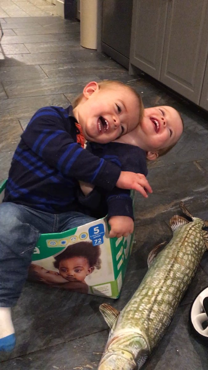 fionahogg12's tweet photo. How many babies can you fit in an @AldiUK nappy box? Answer: twins Arran and Florence! #loveabox #mamianappyfans https://t.co/Fnp9BY0RX1