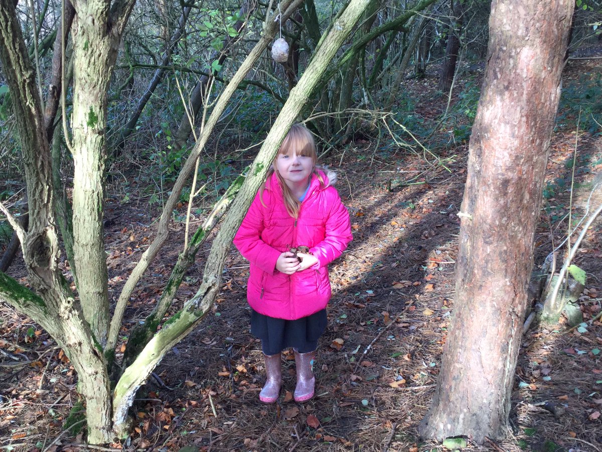 LSTCLASS04's tweet photo. We left our bird feeders in the woods, collected lots of natural materials and ate our lunch outside. It has been a busy, fun day! https://t.co/OkiTPFZCxm