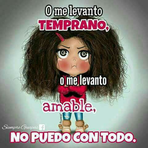 cielo_gaf's tweet photo. No pidan excelencia.. #modomalvadowajaja https://t.co/wYf83z80c0