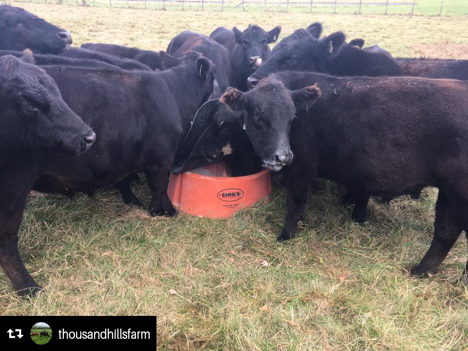 Sioux Steel On Twitter The Siouxsteel Ground Mineral Feeder Is