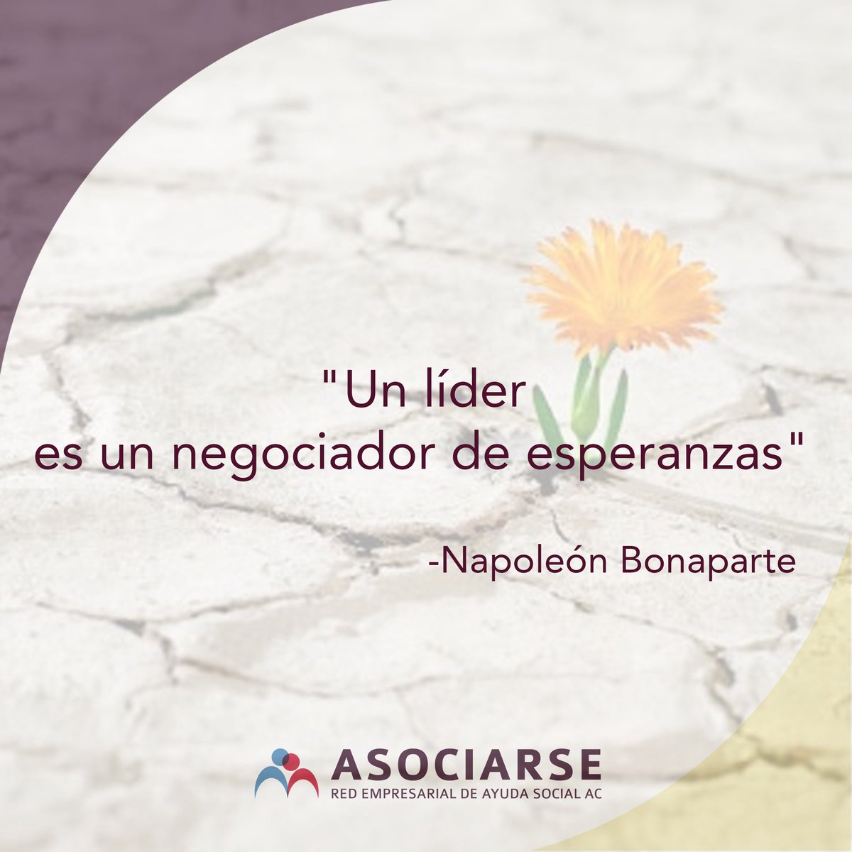 AsociarseAC's tweet photo. ¡Disfruta el taller de hoy líder! 
#AsociaRSE https://t.co/HIz5uyN6NE