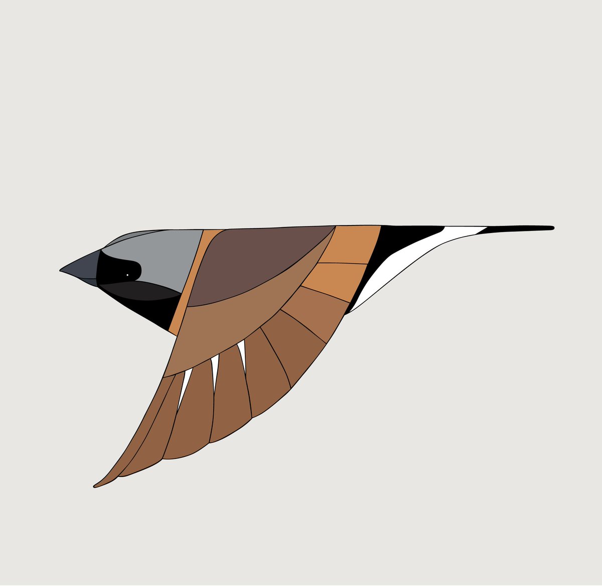 eggpicnic's tweet photo. Declared #extinct in NSW in 2016, the #BlackthroatedFinch is currently being pushed to the brink by #Adani. This is the last weekend of our exhibition Light as a Feather. Come listen to podcasts from scientists discussing all things birds @BirdlifeOz https://t.co/UAanRdXgB7 https://t.co/tgB1cmLv9V