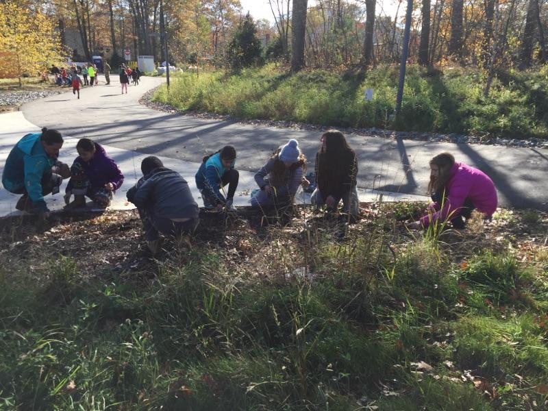 AlgerJenn's tweet photo. Team 8, planting bulbs for the future! https://t.co/2UNeOO2A5t