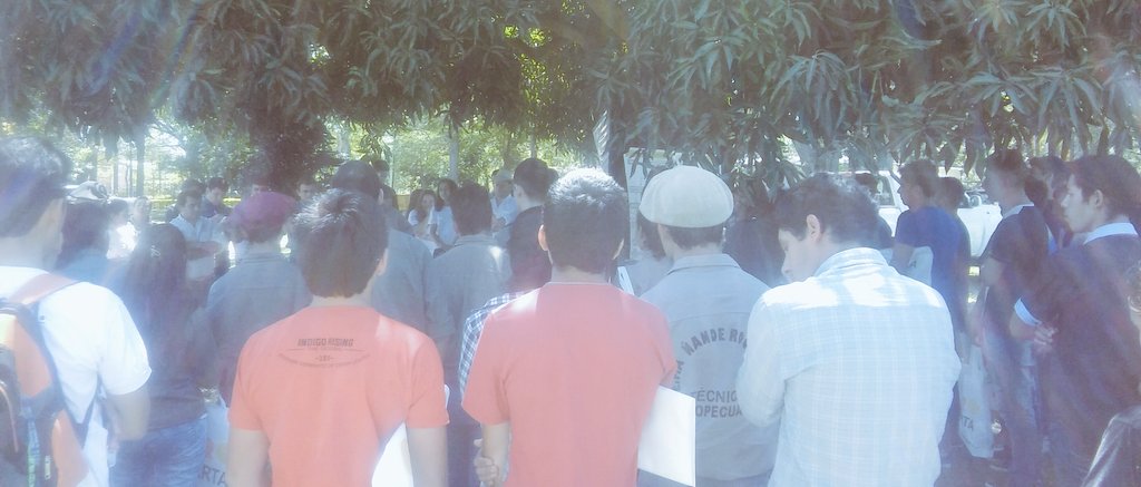 AF_INTA_CTES's tweet photo. El 31/10 c jóvenes d escuelas agropecuarias: componente #granja, #aves y #conejos @prohuerta #profeder #AF https://t.co/o8tMItmLDR