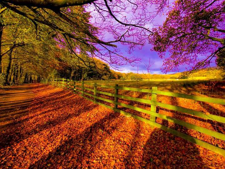 ianclose5's tweet image. Weather in Sunderland for Saturday afternoon simply simply loveleh