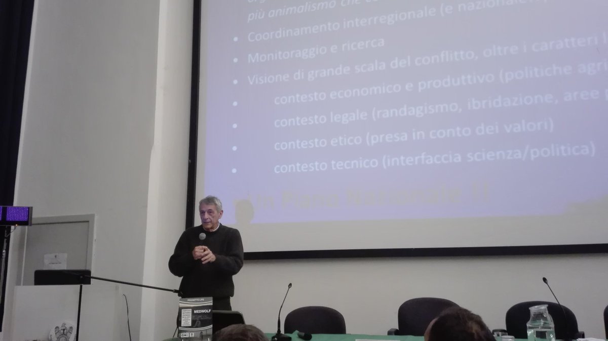 lifemedwolf's tweet photo. "Importante è la ricerca, ma è molto importante anche il monitoraggio, il quale va fatto in modo coordinato" Luigi Boitani, Università degli studi di Roma La Sapienza #medwolf #9Novembre https://t.co/hGFVfzkph8