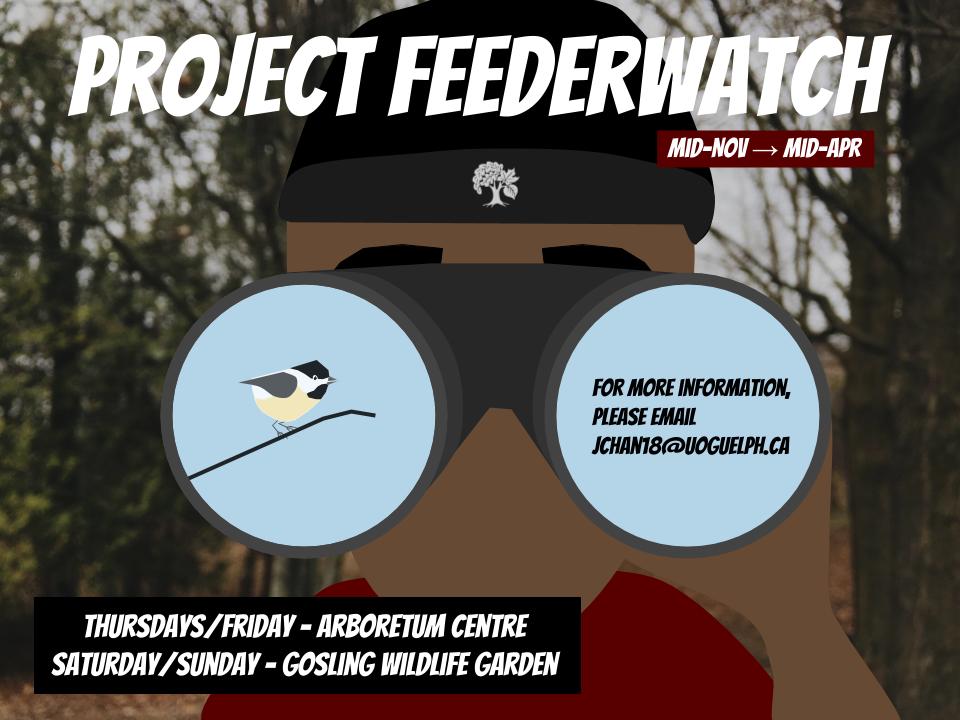Uofg Arboretum On Twitter Do You Love Birds Project Feederwatch