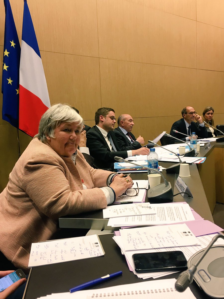 AdeMontchalin's tweet photo. En #Commission avec @gerardcollomb et @j_gourault sur le Budget des Collectivités Locales : maintien des dotations et contractualisation pour les plus 319 plus grandes https://t.co/rnrwSg5N6Q