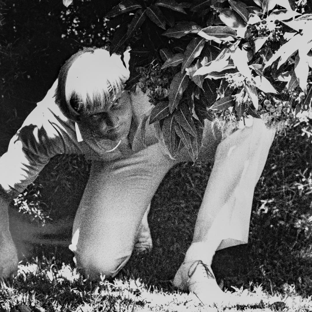 #throwbackthursday Crouching Tiger Hidden Shark!! #attacklife