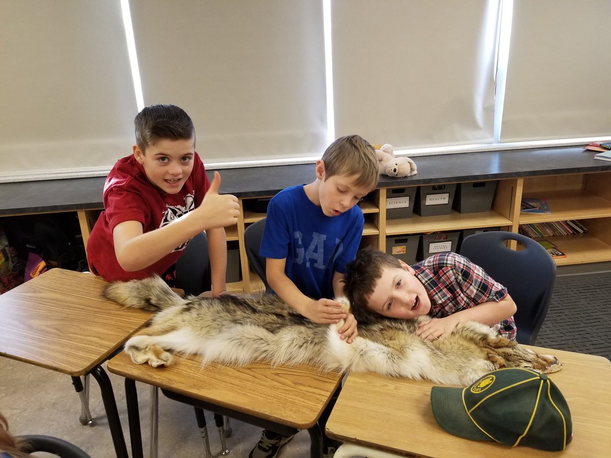 jenhollman's tweet photo. Learning about the fur trade with Trader Jim! #psd70 #duffieldschool https://t.co/lqkaSnlx5S