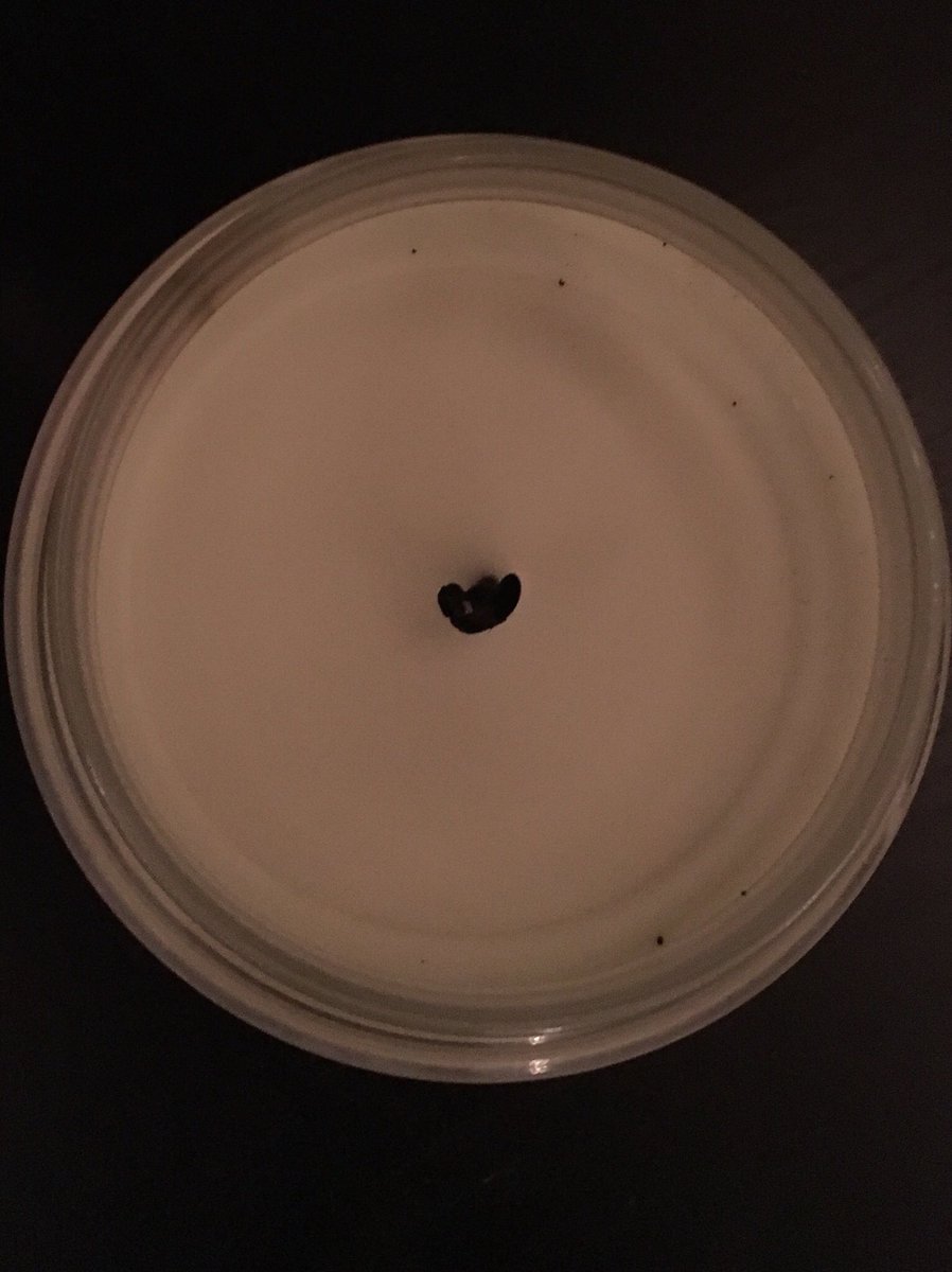 j_t_p_'s tweet photo. gift idea- get a candle for your girl, light it and then put a message in the wax and let it sink. so next time she lights it she’ll be surprised by a nice lil note https://t.co/2lQaOBgU4P