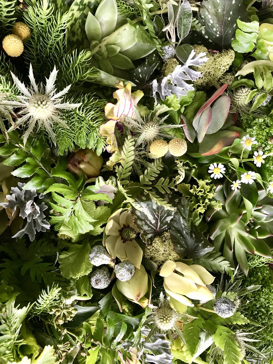 Evergreen 🌲 #winteriscoming #green #greenery #winter #flatlay