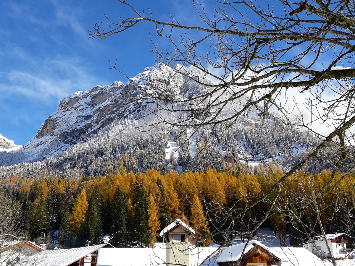 La #Neve è arrivata ma i #larici hanno ancora il loro stupendo colore arancio🍁🍂🍁❄❄ <a href="/valfiorentina/">selva di cadore</a> <a href="/DolomitesUNESCO/">Dolomites UNESCO</a>