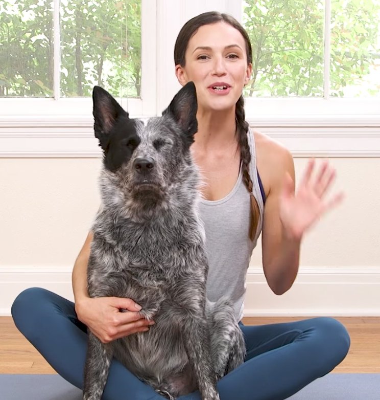 What Type of Dog Is Benji from 'Yoga with Adriene'? How Old Is He?