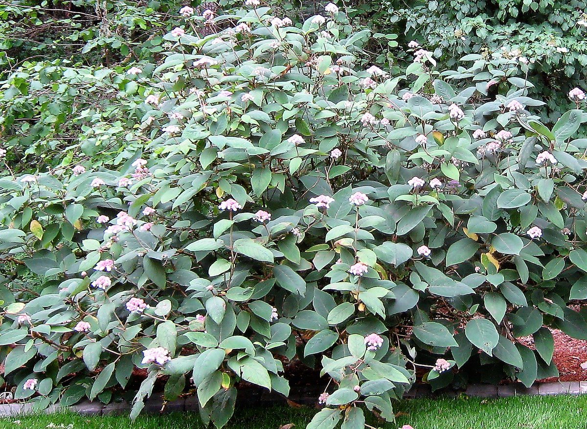 'Garden success - Paul Bonine turns horticultural advice on its head' is the latest Hartley Magazine article by <a href="/MaryKateMackey/">Mary-Kate Mackey</a> - you can read it here bit.ly/2hSC4OI