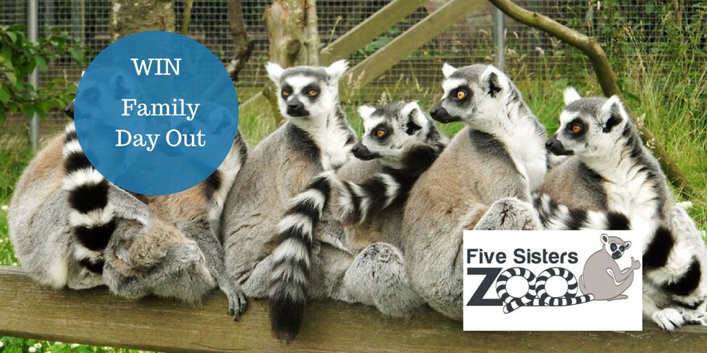 Win a family day out <a href="/fivesisterszoo/">Five Sisters Zoo</a>! Free entry at bit.ly/2iHrkT2 (ends 9am Mon 13th Nov, entrants 18+, T&amp;C's apply) Good Luck!