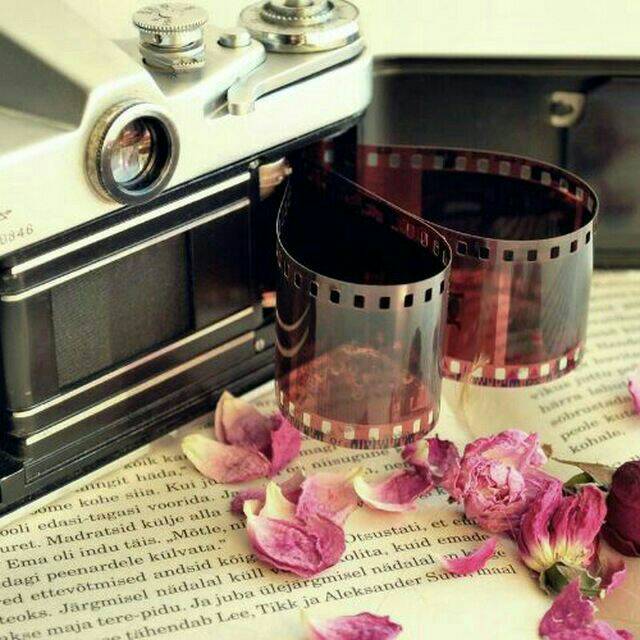 لَوْ أَ نَّ الزَهَايْمَرْ يُصِيبُ الْقَلْبَ💔 لَاخْتَصَرْ عَلَيْنَا عَذَابَ أَعْوَامْ