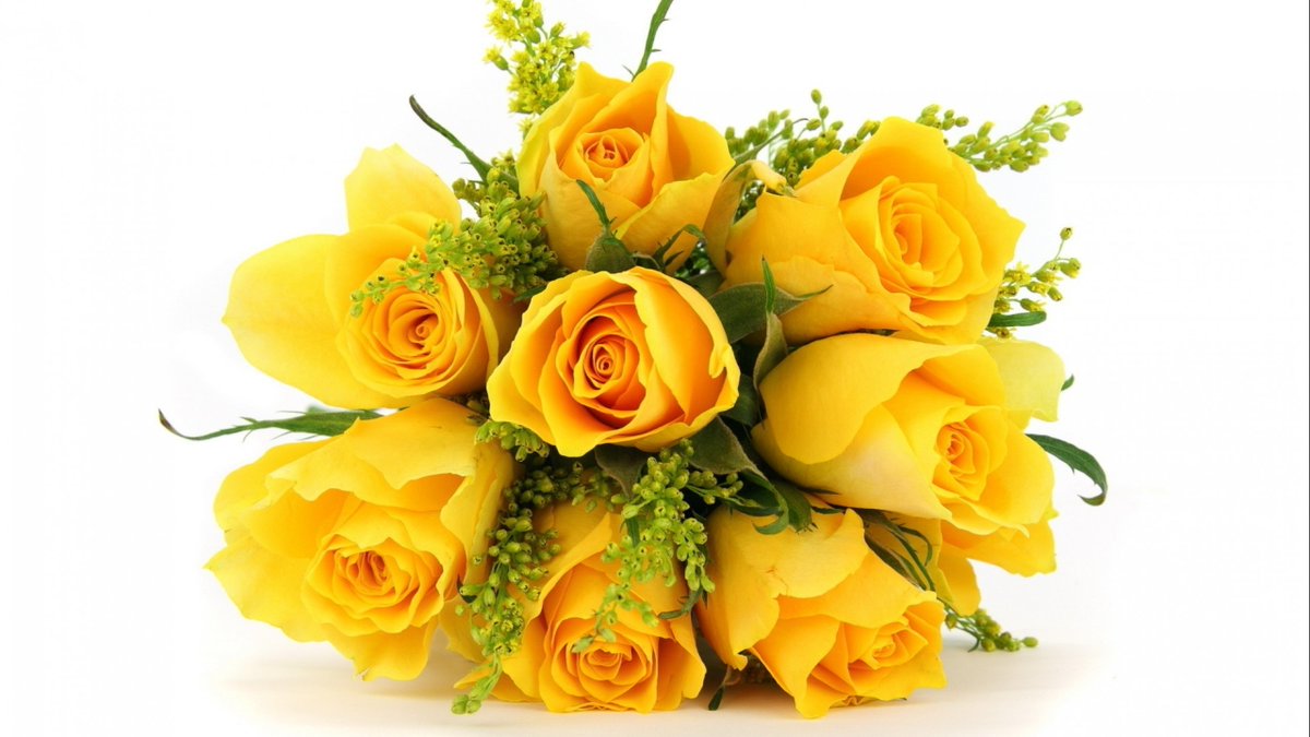 politicalnaveen's tweet photo. @arlenesg 
@EliLeonarda
 A friend is sweet when it is new. And it is sweeter when it is true. But you know what? It is sweetest when it is You.
My special thanks to you. My best Wishes to you https://t.co/SPtq47swuc