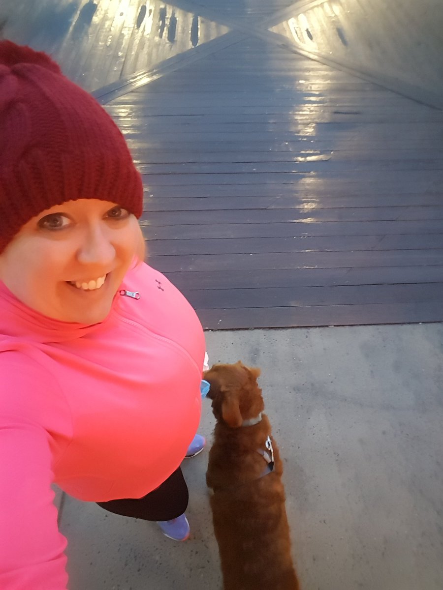 RunningBlondie's tweet photo. Most valuable puppy goes to #Rufus for keeping me company last night! https://t.co/CVxrWOx3WP