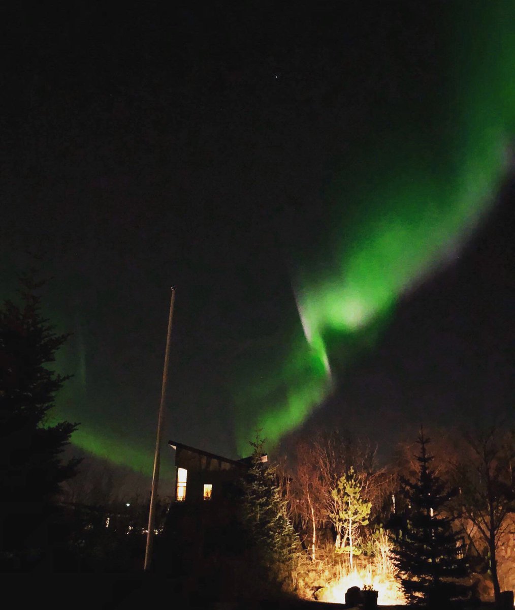 ChiroCards's tweet photo. Last night in Reykjavik ! #dancingaurora https://t.co/TeFD5A0mzj