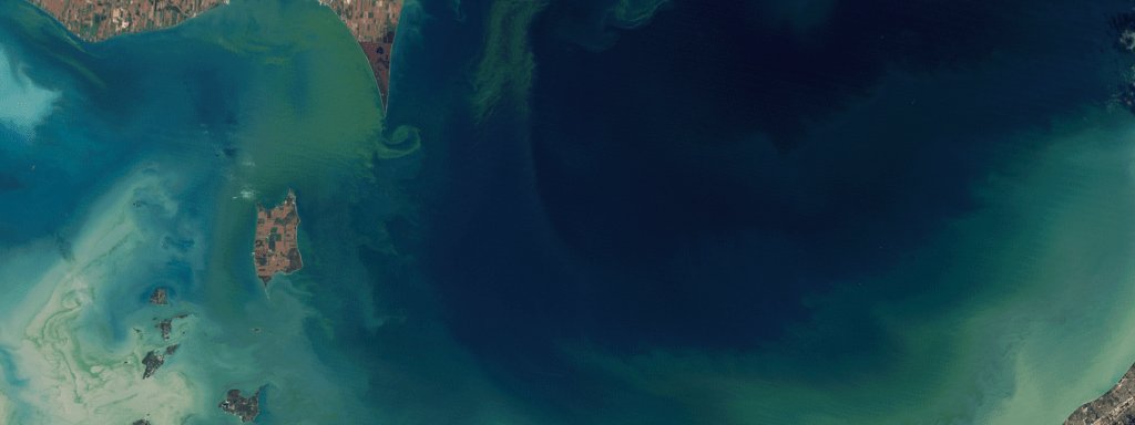 Discovering Harmful Algal Blooms (HABs) with Drones bit.ly/2ykCW53 #algae #algal #drone