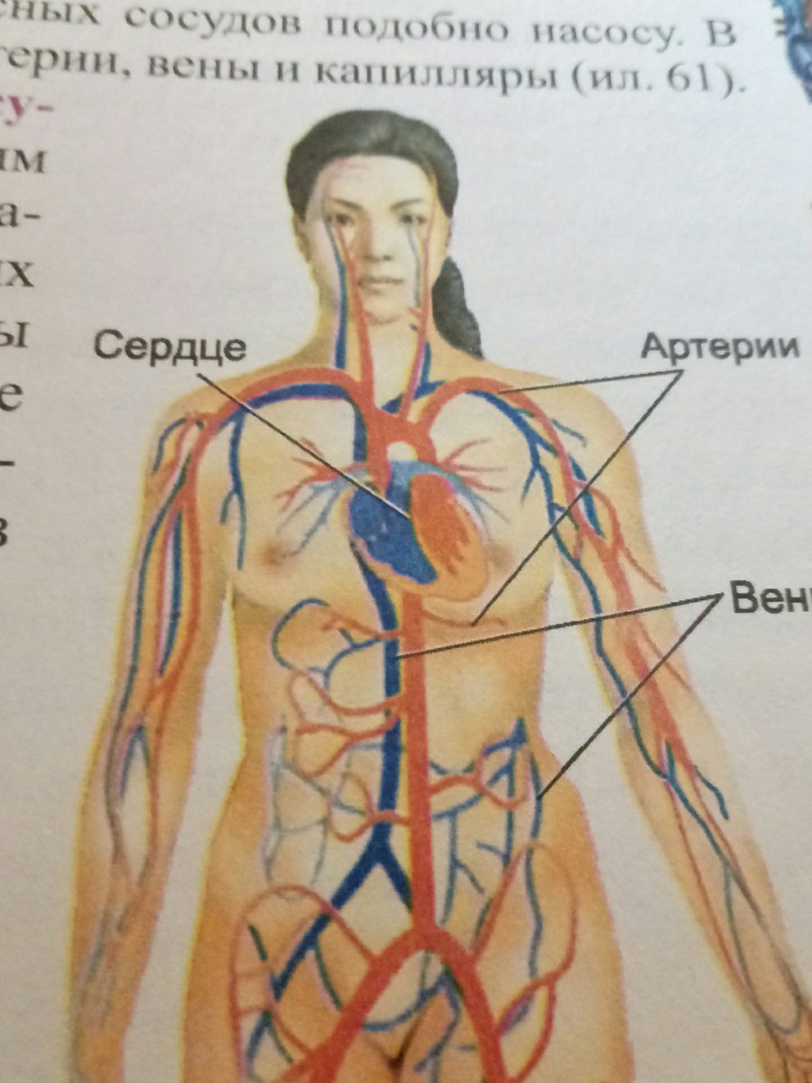 пора подрочить🦄