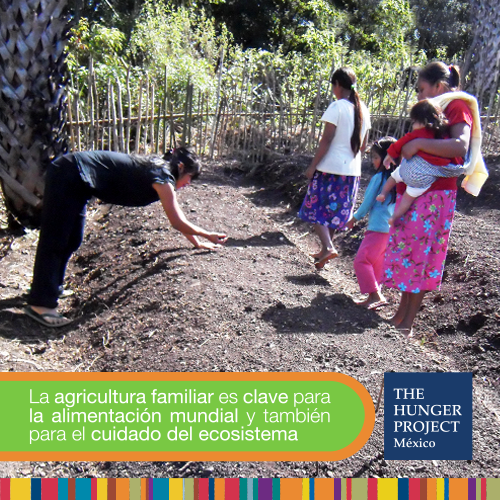 THPMexico's tweet photo. La agricultura familiar es un sector clave en la generación de empleo en el medio rural, y en consecuencia, es un mitigador de la pobreza rural así como un eje fundamental para la soberanía alimentaria del país. https://t.co/EZpVscIJVI
