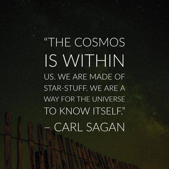 Happy Birthday to Carl Sagan 