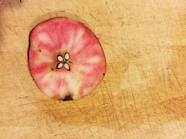 Baltimore Orchard tweet media