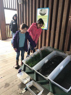ChristinaK12's tweet photo. #BraderES 4th graders learn about the impact of human activities on the environment at DEEC @DENatureSociety https://t.co/q2PpjVK9ZV https://t.co/8etLcFFSoB