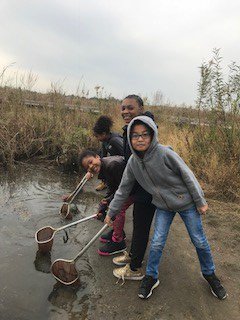ChristinaK12's tweet photo. #BraderES 4th graders learn about the impact of human activities on the environment at DEEC @DENatureSociety https://t.co/q2PpjVK9ZV https://t.co/8etLcFFSoB
