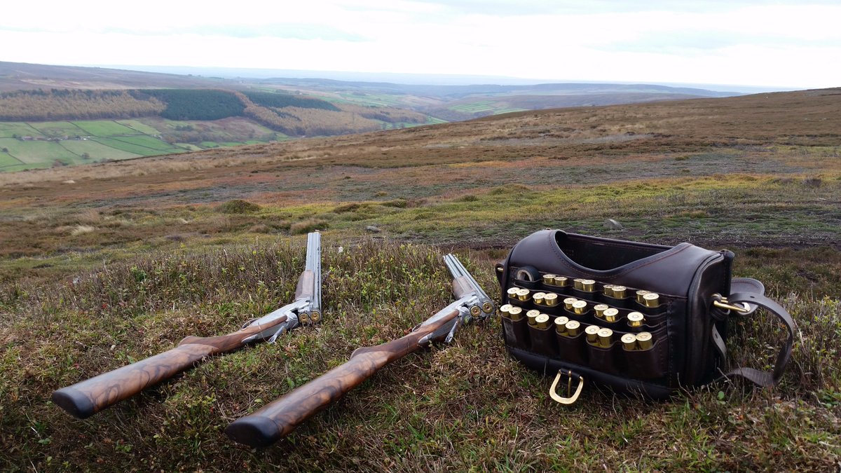 Ann Litchfield tweet media