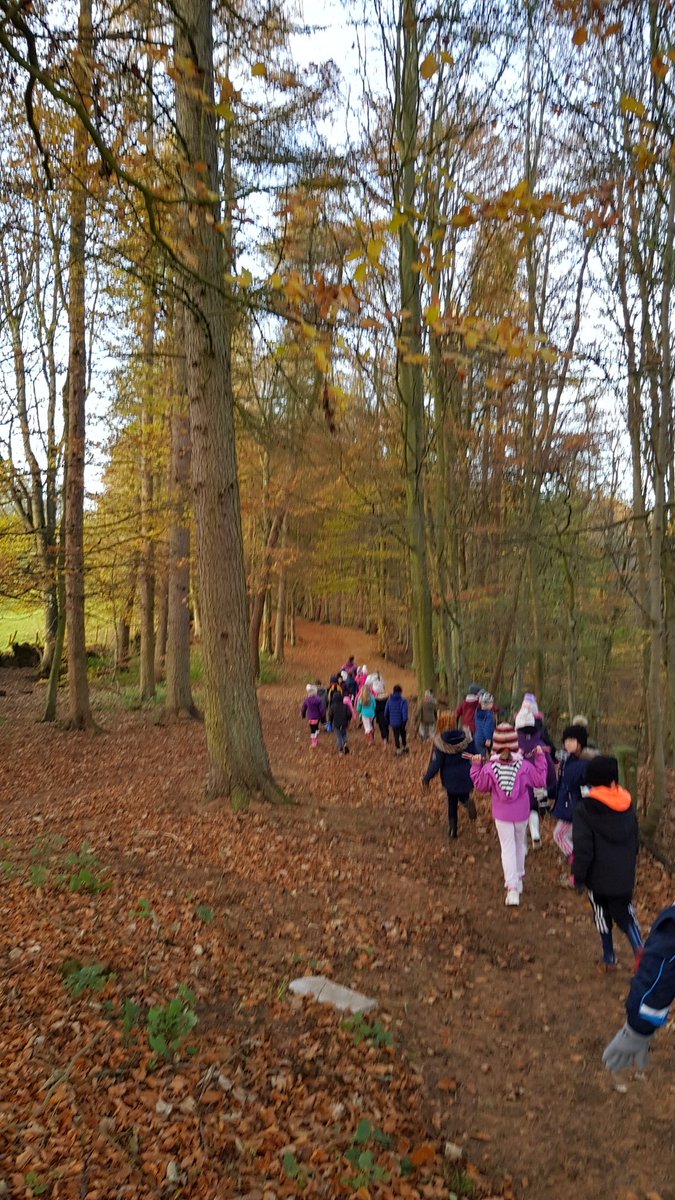 ClevesCross's tweet photo. Just a few more from our shelter building earlier! Some were more successful than others! #downinthewoods #sheltermaking https://t.co/ChNwQIbHsb