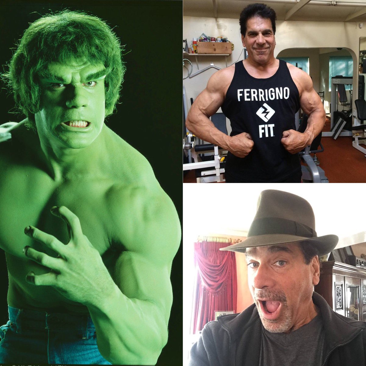 Penmanhats's tweet photo. Let’s wish a Happy Birthday to the Legendary @thelouferrigno #thehulk   #bodybuilding #ferrignofit https://t.co/KvTLtLOub5