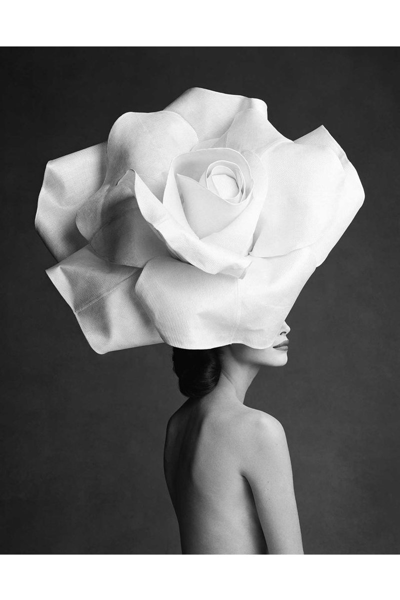 AleksKinsky's tweet photo. #KarlLagerfeld - An eye on #photography 📸 The fashion legend chooses his favourite images from the vast display at the #Paris #Photo exhibition at the Grand Palais https://t.co/00hcrYyynl via #vogue https://t.co/mGZIMvIS4e